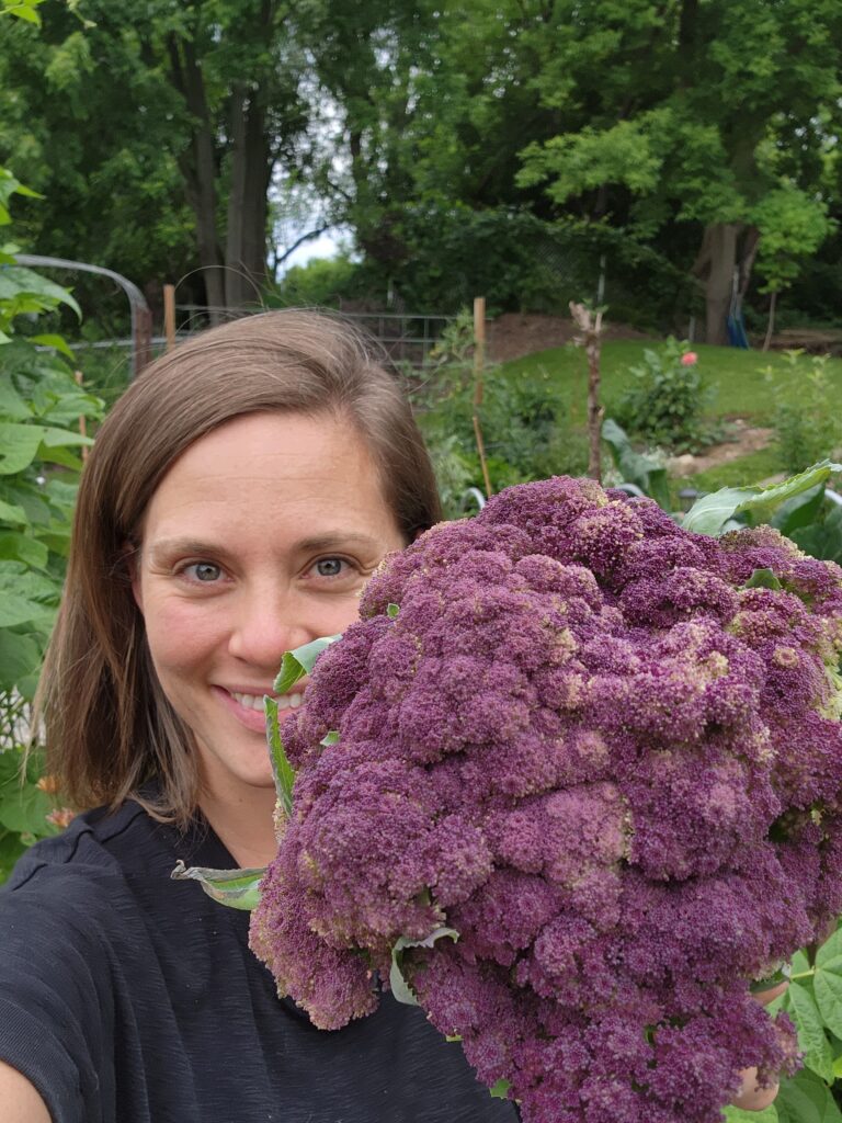 Photo of caucasian woman holding a large, purple cauliflower