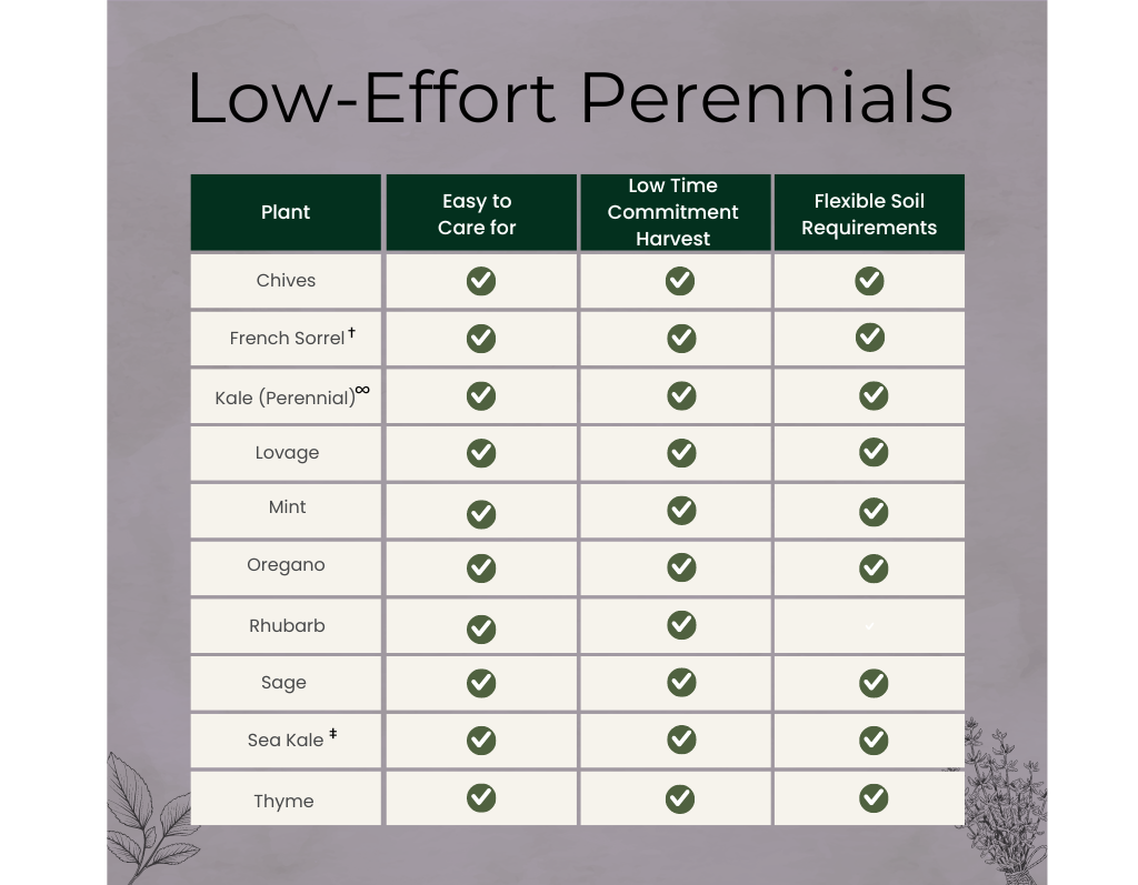 Perennials included in the low effort gardening guide. Includes chives, french sorrel, perennial kale, lovage, mint, oregano, rhubarb, sage, sea kale, and thyme.