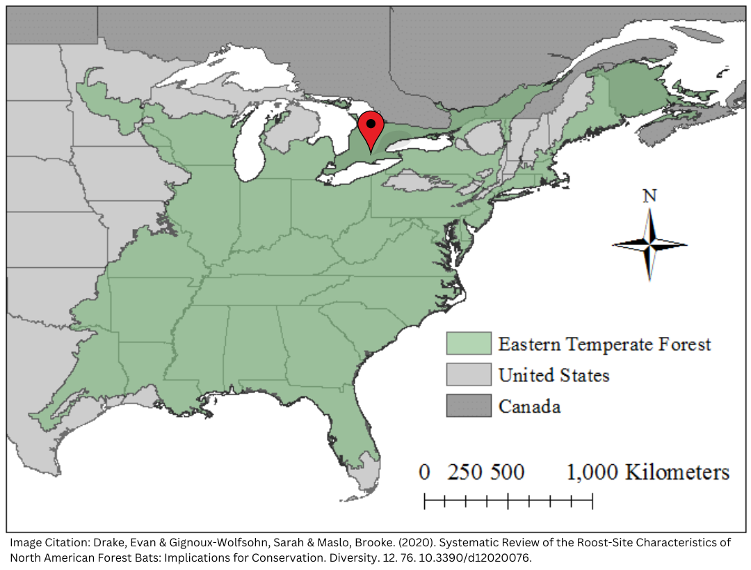 About us: map of our growing region, the Eastern temperate forest ecoregion.